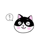 はちわれと黒と白の猫スタンプ（個別スタンプ：12）
