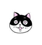 はちわれと黒と白の猫スタンプ（個別スタンプ：13）