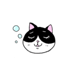 はちわれと黒と白の猫スタンプ（個別スタンプ：16）
