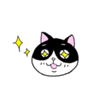 はちわれと黒と白の猫スタンプ（個別スタンプ：17）