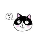 はちわれと黒と白の猫スタンプ（個別スタンプ：18）