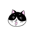はちわれと黒と白の猫スタンプ（個別スタンプ：20）