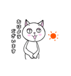 はちわれと黒と白の猫スタンプ（個別スタンプ：36）