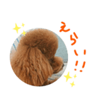ティナのスタンプ 8（個別スタンプ：7）