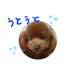 ティナのスタンプ 8（個別スタンプ：8）