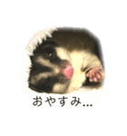 フクモモのジョニー（個別スタンプ：7）