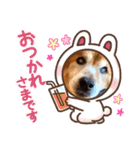 ラッキーとの思い出（個別スタンプ：17）