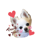 ぴーたんスタンプ♡（個別スタンプ：1）