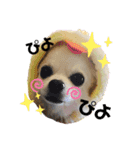 ぴーたんスタンプ♡（個別スタンプ：2）