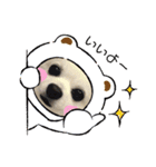 ぴーたんスタンプ♡（個別スタンプ：6）