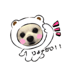 ぴーたんスタンプ♡（個別スタンプ：7）
