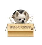 ぴーたんスタンプ♡（個別スタンプ：8）