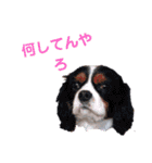まさと武勇伝1（個別スタンプ：18）