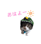 まさと武勇伝1（個別スタンプ：20）