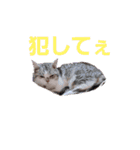 まさと武勇伝1（個別スタンプ：27）