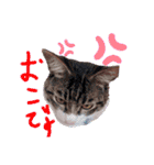まさと武勇伝1（個別スタンプ：29）