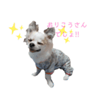 コレットスタンプ（個別スタンプ：4）