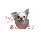 コレットスタンプ（個別スタンプ：10）