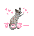 コレットスタンプ（個別スタンプ：15）