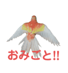 コレットスタンプ（個別スタンプ：17）