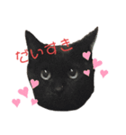 黒猫しーちゃんスタンプ（個別スタンプ：1）