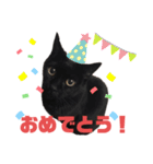 黒猫しーちゃんスタンプ（個別スタンプ：7）