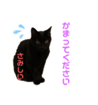 黒猫しーちゃんスタンプ（個別スタンプ：10）