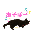 黒猫しーちゃんスタンプ（個別スタンプ：13）