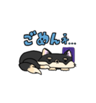 毎日あんず（個別スタンプ：7）