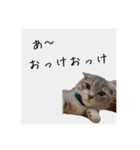 Glicoのもっと日常スタンプ（個別スタンプ：3）