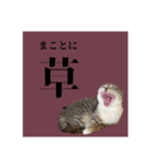 Glicoのもっと日常スタンプ（個別スタンプ：4）