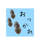 Glicoのもっと日常スタンプ（個別スタンプ：8）