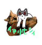 やる気のない猫など（個別スタンプ：4）