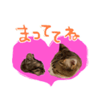 やる気のない猫など（個別スタンプ：20）
