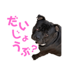 ぶびお（個別スタンプ：3）