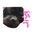 ぶびお（個別スタンプ：4）