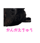 ぶびお（個別スタンプ：5）