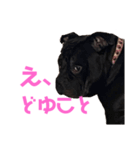 ぶびお（個別スタンプ：8）