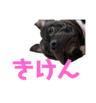 ぶびお（個別スタンプ：13）