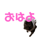 ぶびお（個別スタンプ：14）