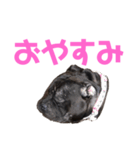 ぶびお（個別スタンプ：16）