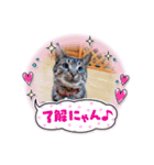 愛月と空パート9（個別スタンプ：6）