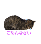 愛月と空パート9（個別スタンプ：7）