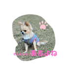 やんちゃなししまるNo3（個別スタンプ：2）