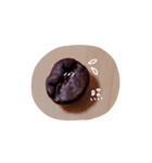 coffee beans1（個別スタンプ：10）