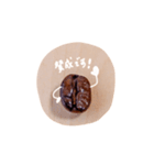 coffee beans1（個別スタンプ：18）