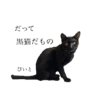 黒猫ピート（個別スタンプ：3）