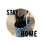 黒猫ピート（個別スタンプ：4）