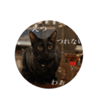 黒猫ピート（個別スタンプ：5）
