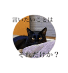 黒猫ピート（個別スタンプ：6）